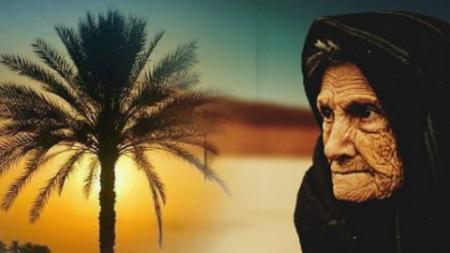 النخلة الشامخة