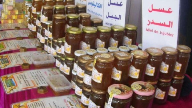 وهران.. توقع إنتاج أكثر من 410 قناطير من العسل خلال الموسم الفلاحي الجاري