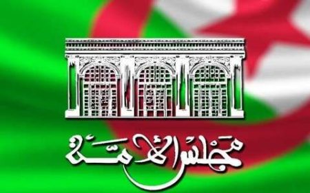 مجلس الأمة يشيد بالمكانة التي خصصتها مسودة تعديل الدستور للبرلمان