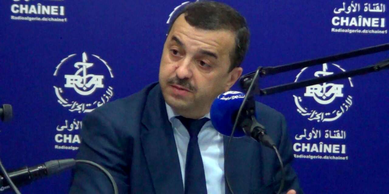  باطن الجزائر يحوي 1000 مادة معدنية