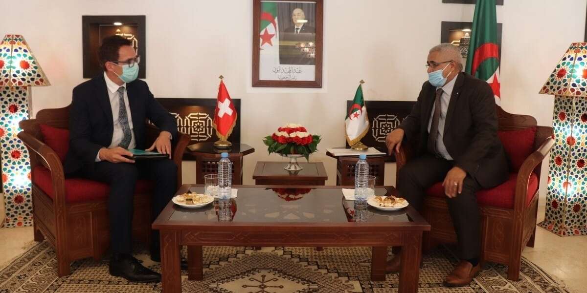 لتعزيز التعاون في السياحة والصناعة التقليدية بين البلدين.. وزير السياحة يستقبل سفير الفدرالية السويسرية