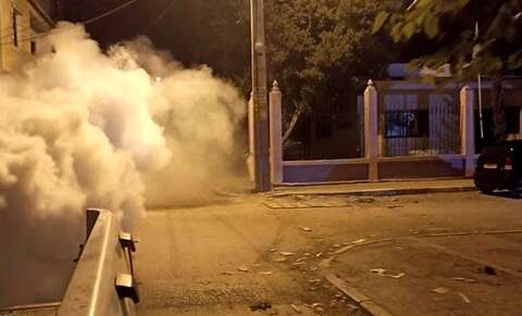 على خلفية تهاطل الأمطار مؤخرا.. خطر بعوضة النمر يعود من جديد