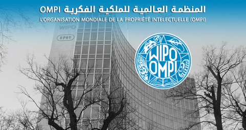 ياسين وليد يتحادث مع ممثل المنظمة العالمية للملكية الفكرية.. تشجيع إيداع براءات الاختراع