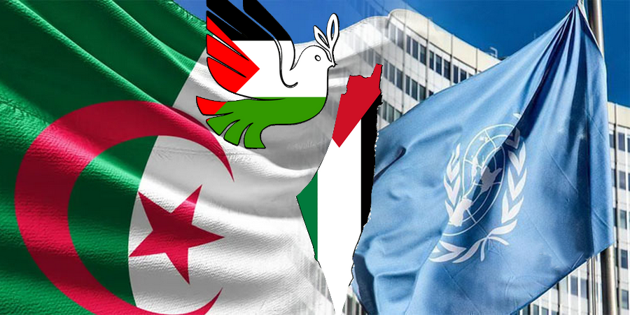 الجزائر تتضامن مع فلسطين بطريقتها الخاصة
