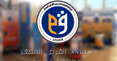 تشجيع استحداث المؤسسات المصغرة بمناطق الظل بالوادي