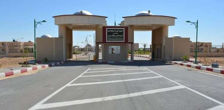 جراد يأمر بفتح المعبر الحدودي الطالب العربي