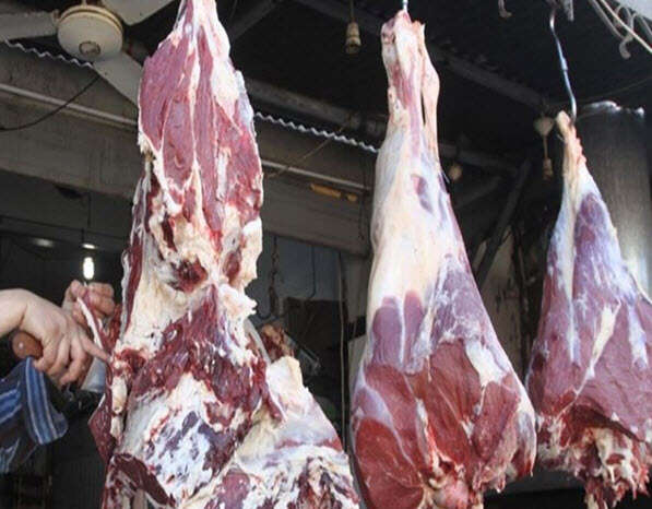 عنابة: حجز 95 ألف كلغ من لحوم الذبح العشوائي بسيدي عمار