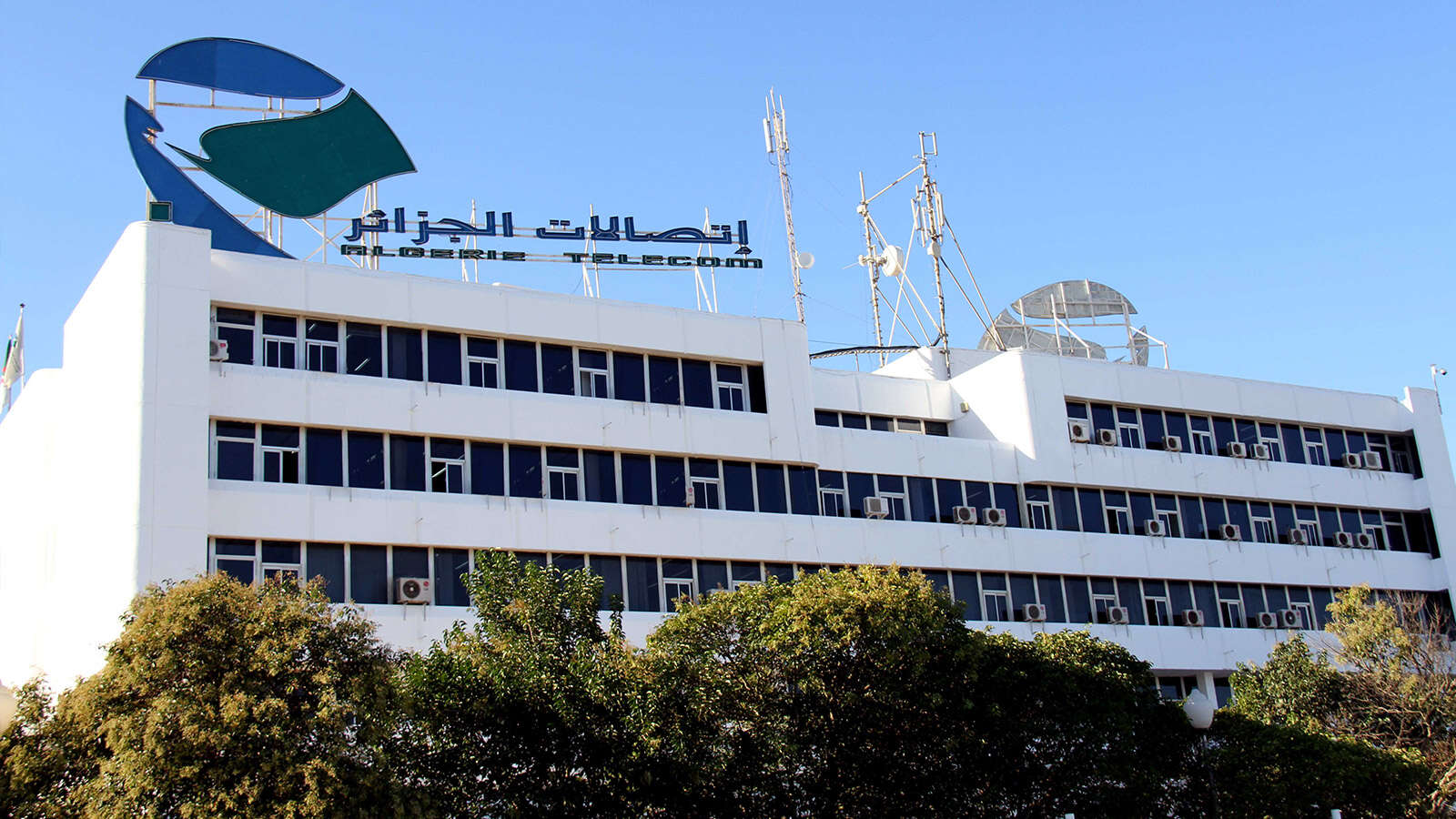 اتصالات الجزائر: الجزائر في المرتبة الثانية إفريقيا في مد الألياف البصرية  