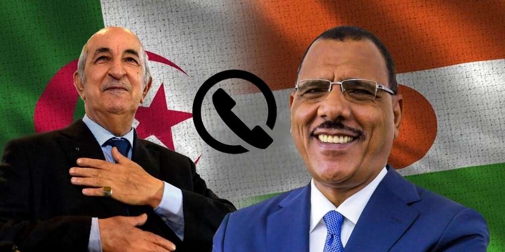 الرئيس تبون يتطرق مع الرئيس النجيري لسبل تعزيز العلاقات بين البلدين