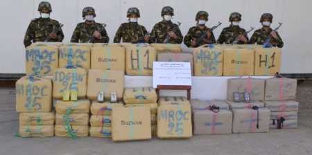 توقيف 20 شخصا وضبط أزيد من 9 قناطير من الكيف المعالج.. أسبوع أسود على تجار المخدرات