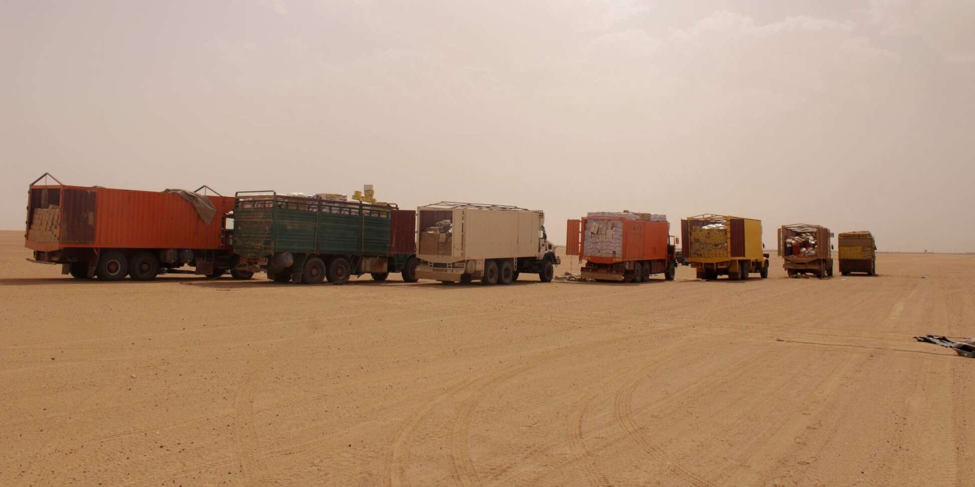 إيليزي.. تجميد تصدير الملح الخام والمنزلي في إطار تجارة المقايضة