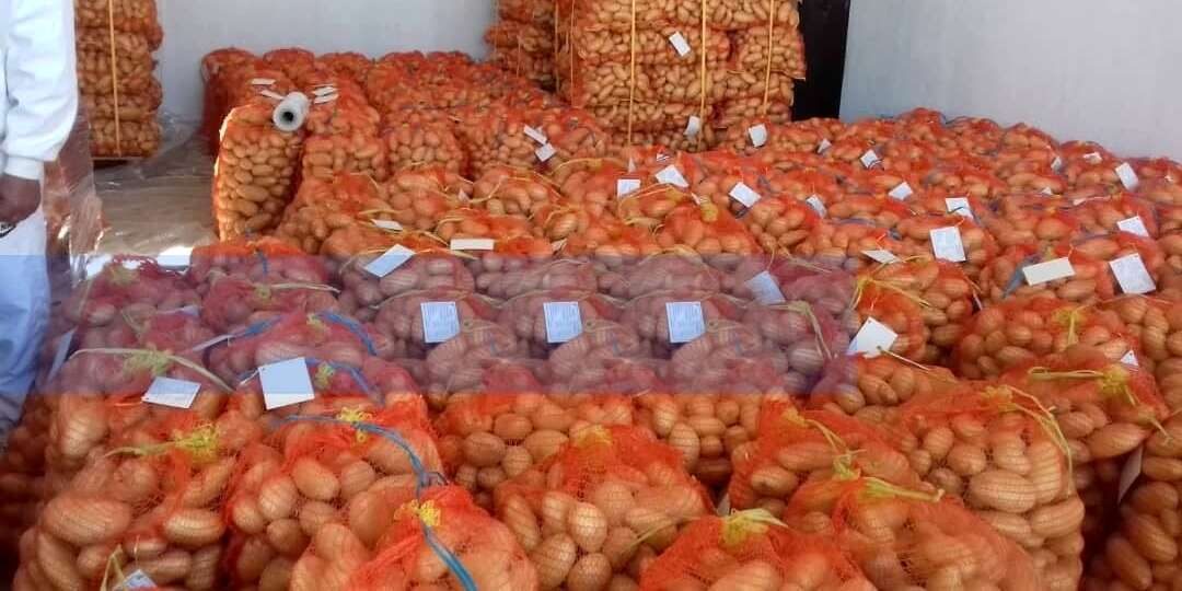 مديرية التجارة تُغرق الأسواق بالبطاطا المخزنة لكسر الأسعار