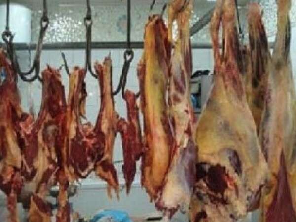 معسكر: إحباط عملية ترويج  700 كلغ من لحم البقر الفاسد 