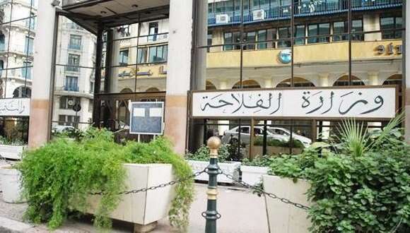 وزارة الفلاحة: تسطير برنامج مهم لرقمنة القطاع في غضون سنة 2024