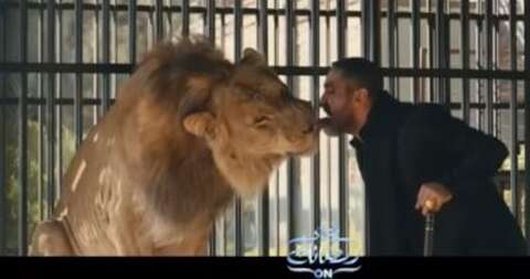 للإثارة والتشويق.. ظاهرة الحيوانات المفترسة تغزو دراما رمضان