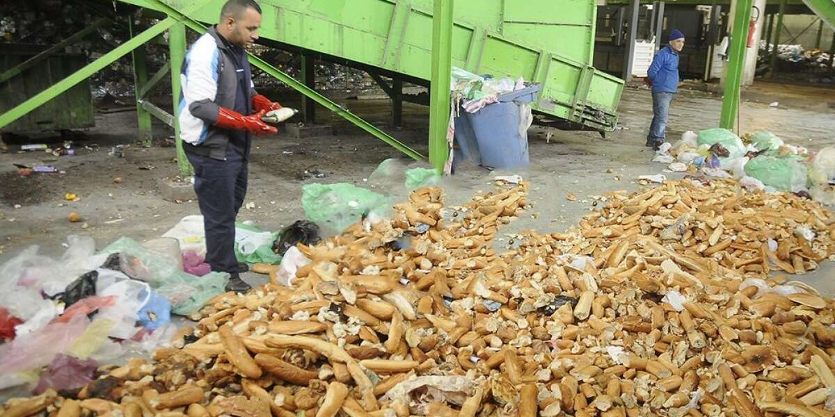 العاصمة: جمع ألف 65 طن من الخبز المرمية كفضلات في رمضان