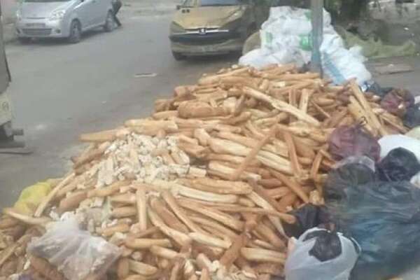 فدرالية الخبازين: الجزائر تنتج 50 مليون خبزة يوميا منها 10 ملايين خبزة تذهب كفضلات وأعلاف للحيوانات 