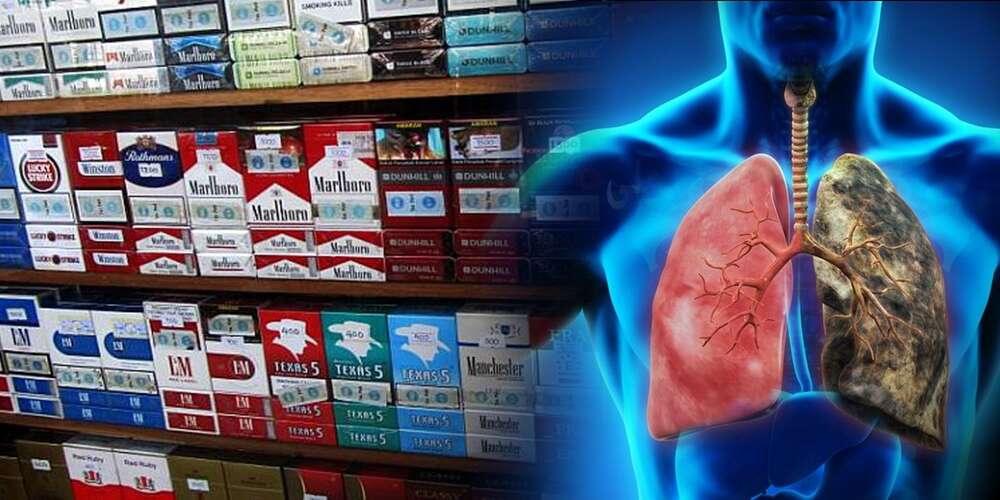 طلب عاجل للحكومة لرفع أسعار علب التدخين بعد تسجيل 3000 وفاة سنويا