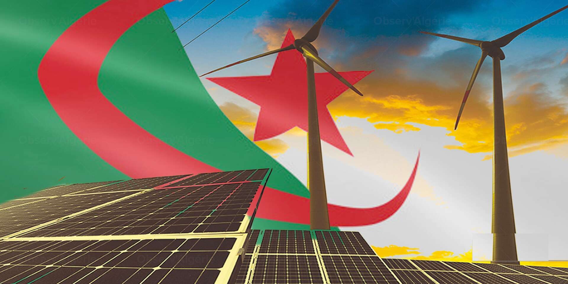 انتخاب الجزائر على مستوى هيئات رئيسية في الوكالة الدولية للطاقات المتجددة