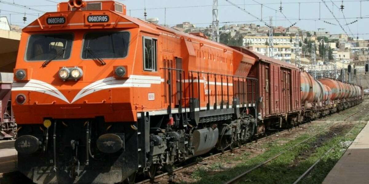 المدير العام ل SNTF : نركز على تعزيز نقل البضائع الوطن لمرافقة الديناميكية الاقتصادية