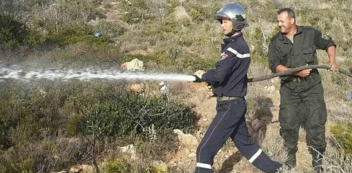 الشلف: حريق في أحراش سيدي بوقوفة بالمرسى