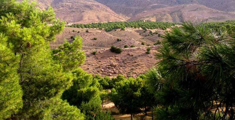 إطلاق المبادرة الوطنية لتأهيل السد الأخضر غدا
