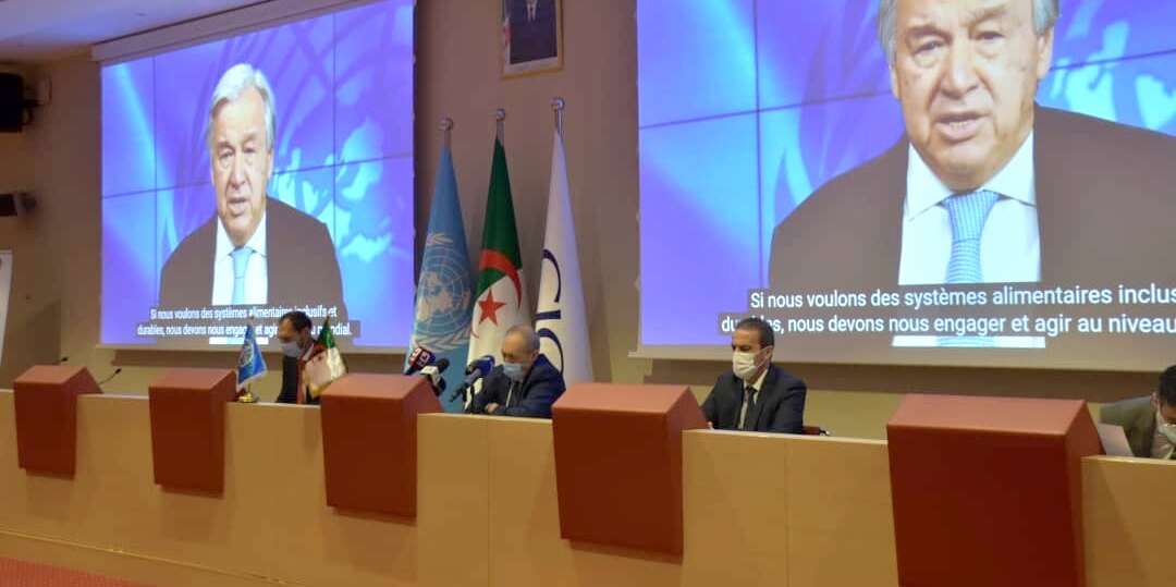 الجزائر تعرض خبرتها في منظومة الأمن الغذائي في القمة المقبلة لمنظمة الأغذية والزراعة للأمم المتحدة