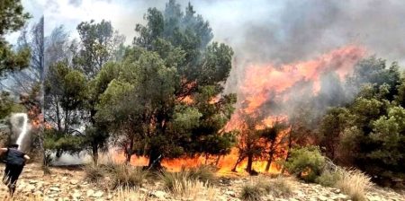 مديرية الغابات تستبعد فرضية الحرارة وترجح العامل البشري في حرائق خنشلة   