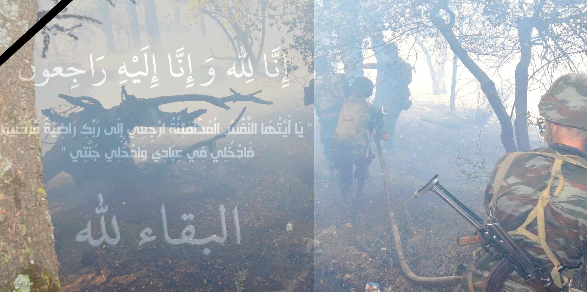 استشهاد 25 عسكريا إثر حرائق غابات تيزي وزو وبجاية