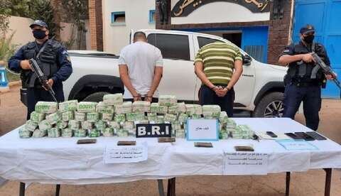 حجز 28 كلغ “زطلة” بالبيض