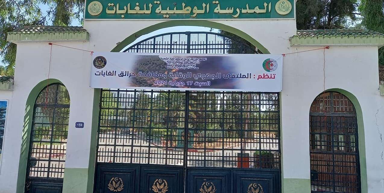 تأهيل 25 هكتارا من الغابات المتضرّرة من الحرائق ببسكرة