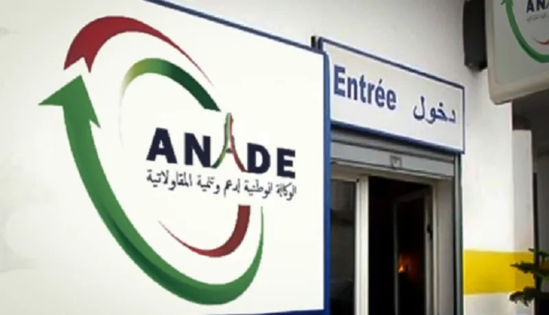 الوكالة الوطنية لدعم وتنمية المقاولاتية تعلن عن قبول 81 ملف للتعويض بـ13 مليار سنتيم