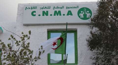 الصندوق الوطني للتعاون الفلاحي يفتح مكتبا جديدا بالنعامة