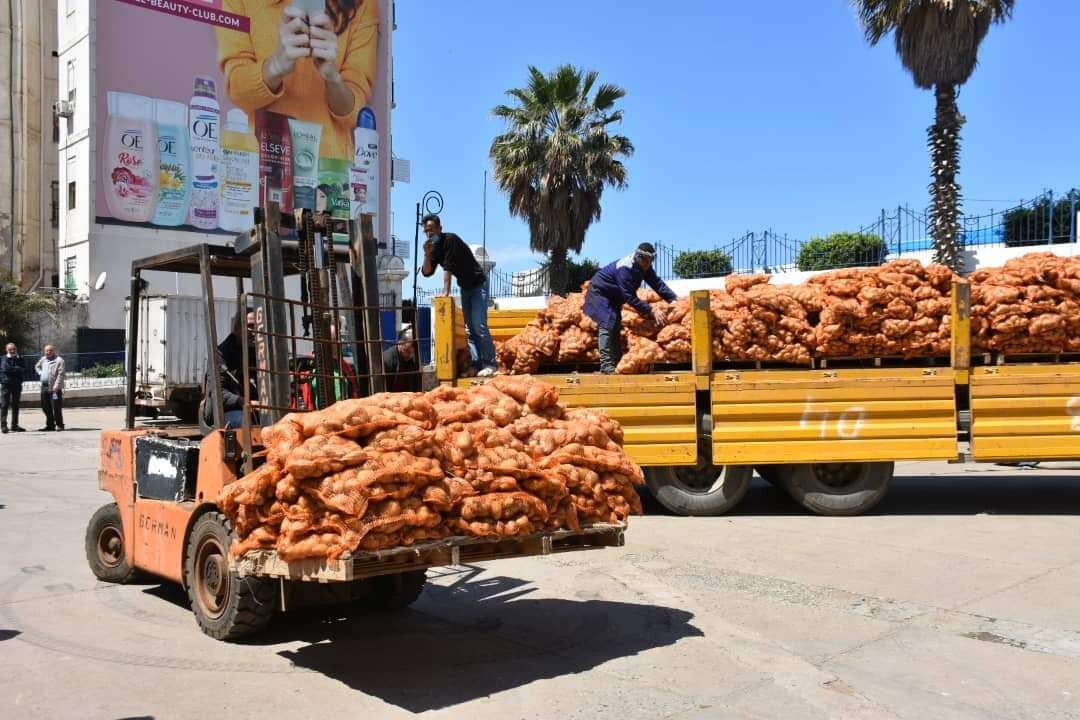 وزارة الفلاحة تلجأ إلى تصريف مخزون البطاطا لضمان تخفيض الأسعار