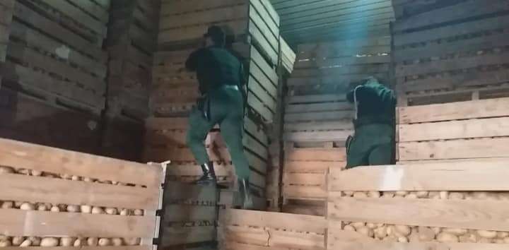 بومرداس: حجز 8167 طن بطاطا مخزنة بغرض المضاربة