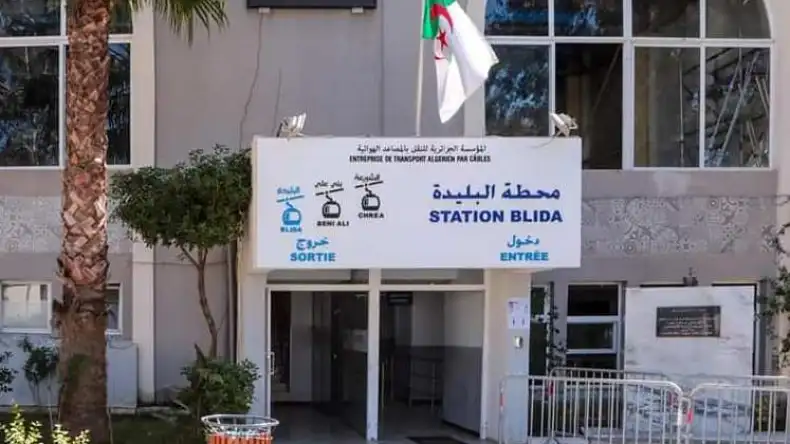 البليدة: عودة النقل بالمصعد الهوائي نحو حظيرة الشريعىة