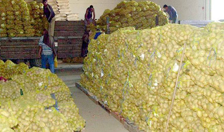 رزيق: بيع البطاطا المحجوزة بـ 50 دينار