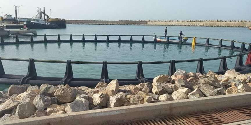 عنابة.. خرجات خلال الصيف لمرافقة حاملي مشاريع تربية الأسماك المدمجة