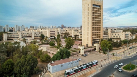 وهران.. غابة جامعة العلوم والتكنولوجيا تحتضر بسبب طفيليات النغف