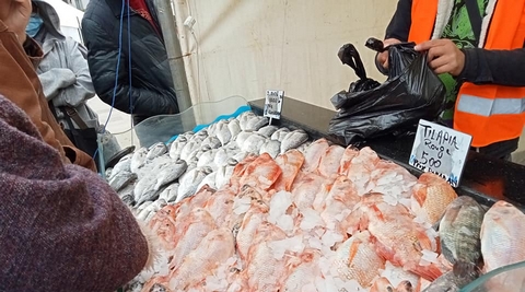 أسواق جوارية لبيع السمك بدرارية وباش جراح والحراش
