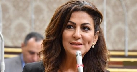 النائبة دينا عبد الكريم: قضايا دراما هذا العام مقدمة كمشروعات قوانين بالبرلمان