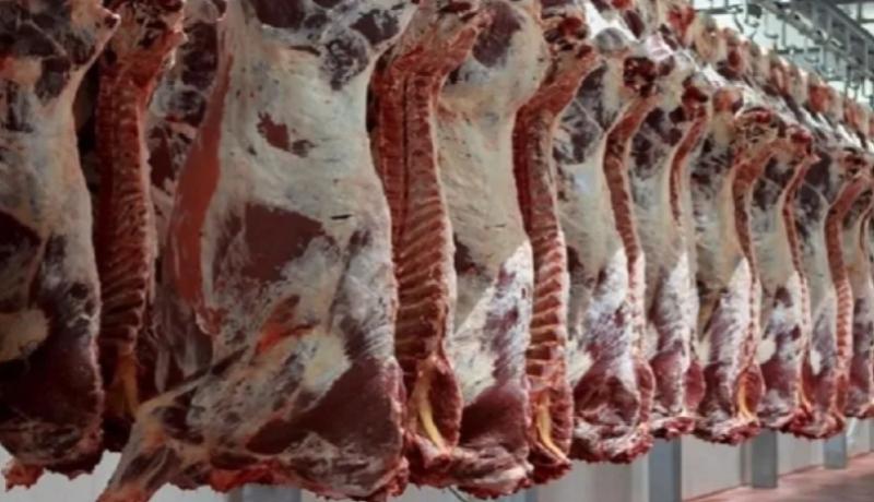 معسكر: حجز 3 قناطير لحوم حمراء غير صالحة للاستهلاك بسيق