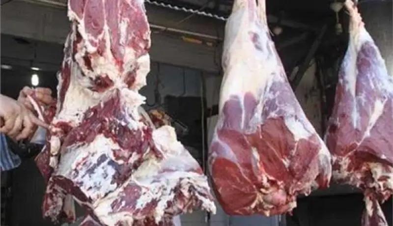 عنابة: حجز 12 قنطار لحوم حمراء غير صالحة للاستهلاك