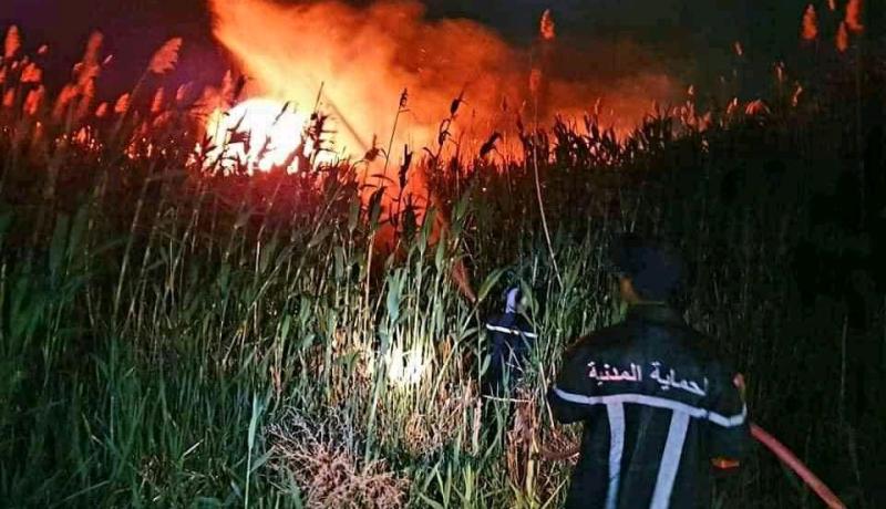 البيض: إخماد حريق بقصب وأشجار العريش بمنطقة الزرديب 