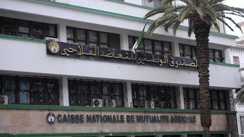 الصندوق الوطني للتعاضد الفلاحي يعزز عمله الجواري بافتتاح مكتب محلي جديد بالعاصمة