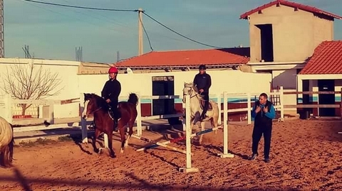 ميلة.. جمعيات بالتلاغمة تحافظ على الفروسية كموروث ثقافي مميز للمنطقة