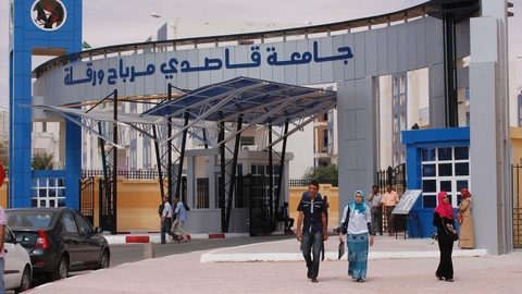 جامعة ورقلة.. فتح 07  تخصصات جديدة
