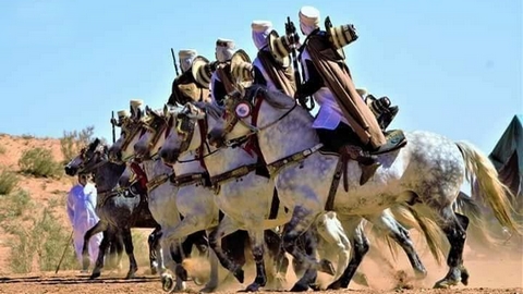 تيارت.. مشاركة أكثر من 1000 فارس في مهرجان الفنتازيا