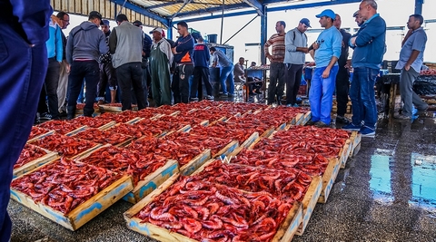 غليزان.. إطلاق أول مشروع جزائري لإنتاج الجمبري