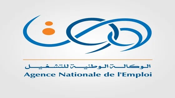 وكالة التشغيل تضع موقع الكتروني جديد تحت تصرف طالبي العمل